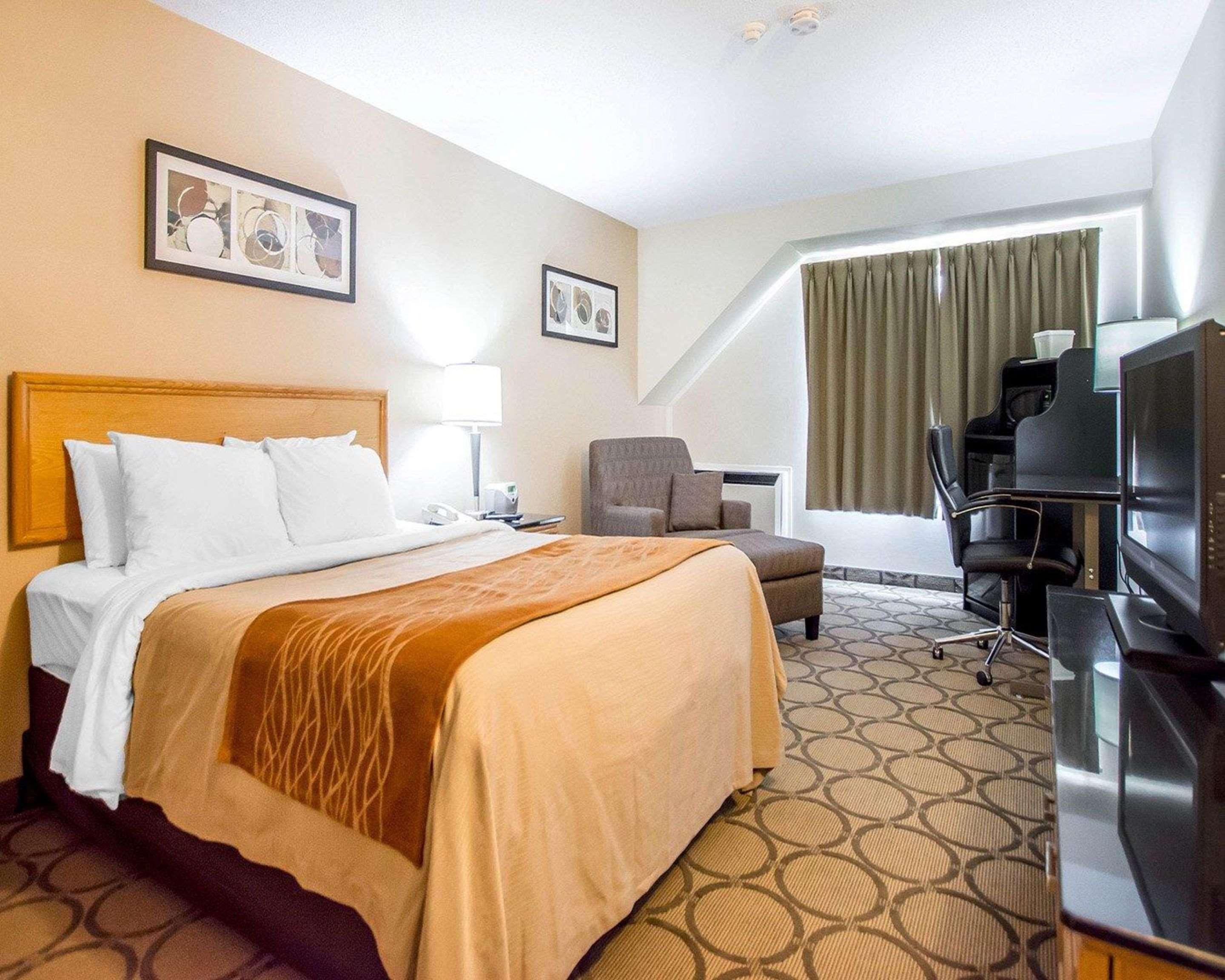 Comfort Inn East Μόνκτον Εξωτερικό φωτογραφία
