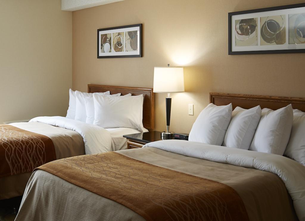Comfort Inn East Μόνκτον Εξωτερικό φωτογραφία