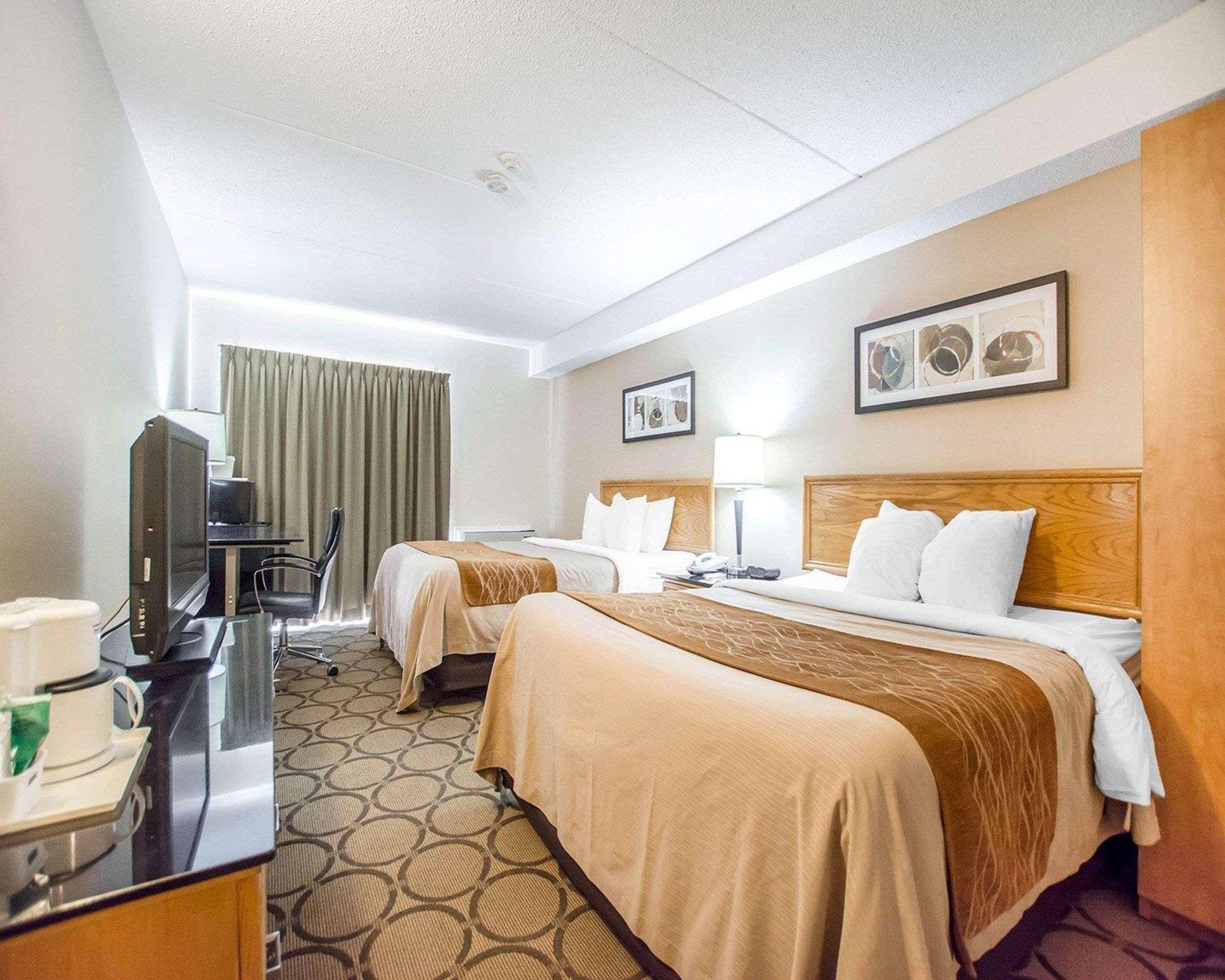 Comfort Inn East Μόνκτον Εξωτερικό φωτογραφία