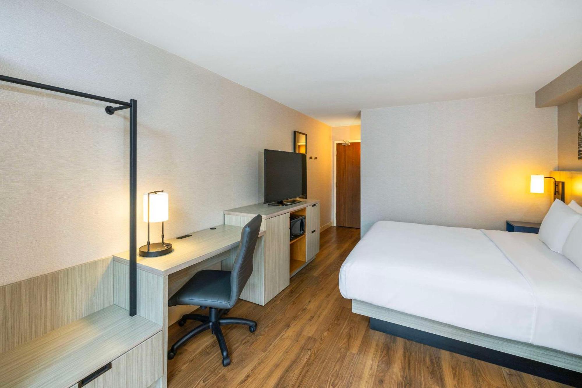 Comfort Inn East Μόνκτον Εξωτερικό φωτογραφία