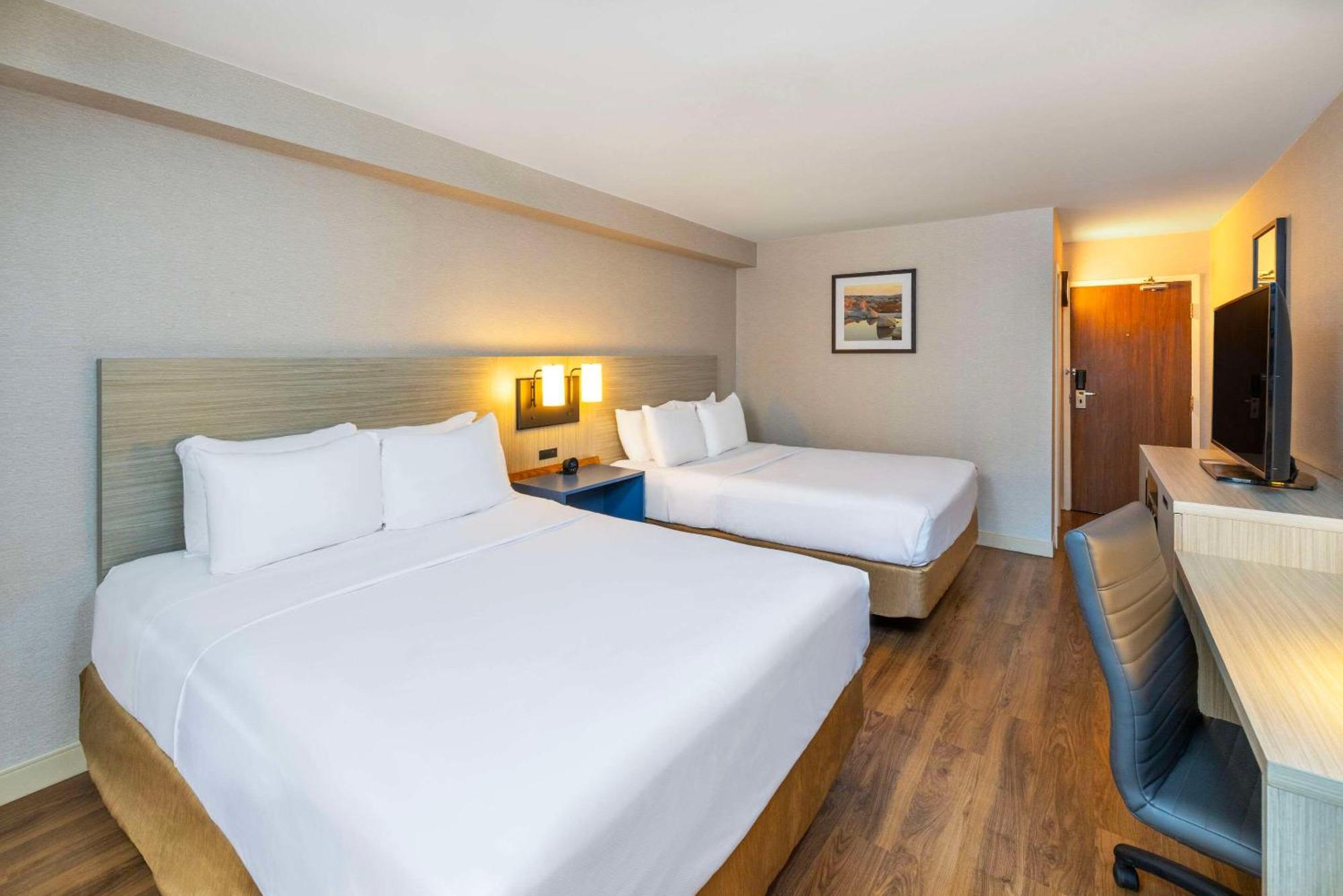 Comfort Inn East Μόνκτον Εξωτερικό φωτογραφία