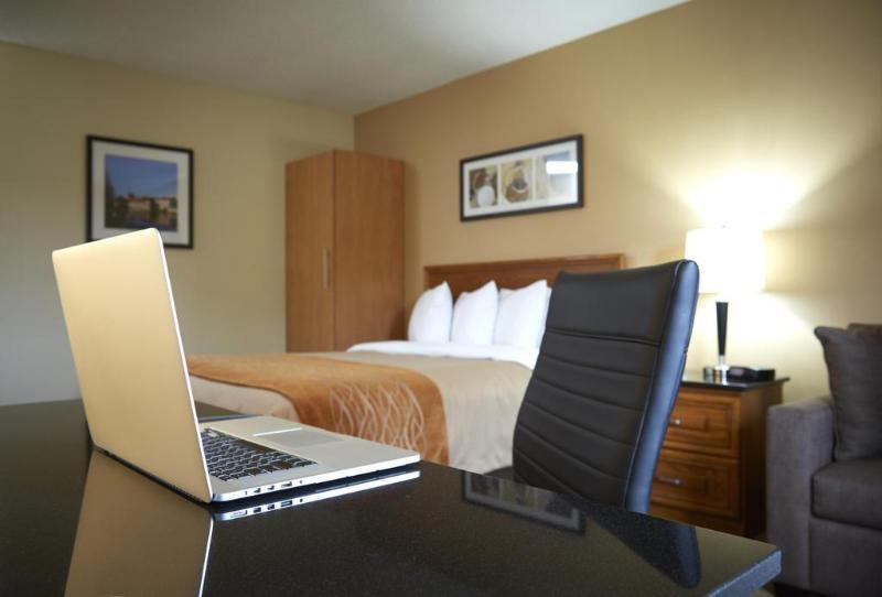 Comfort Inn East Μόνκτον Εξωτερικό φωτογραφία